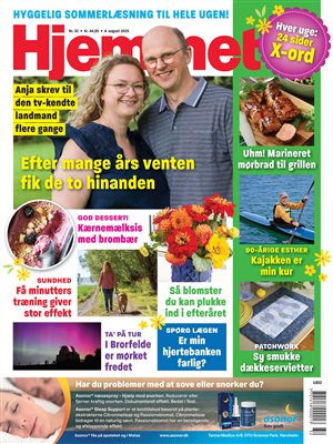 Flot tofarvet plaid & 26 nr. af Hjemmet