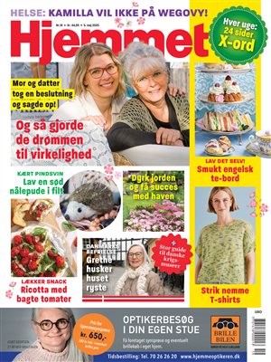 Flot tofarvet plaid & 26 nr. af Hjemmet