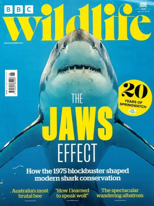 BBC Wildlife - 13 numre