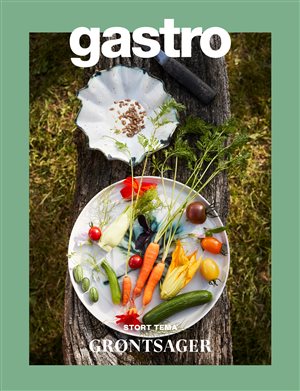 Gastro 12 numre - Løbende abonnement