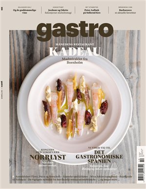 Gavekort på 300 kr. til Bichel Vine & 4 nr. af gastro