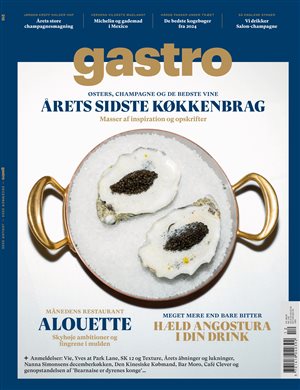 gastro - styksalg