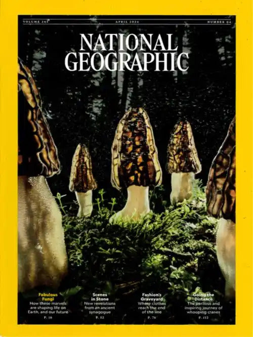 National Geographic - 12 numre / 1 år