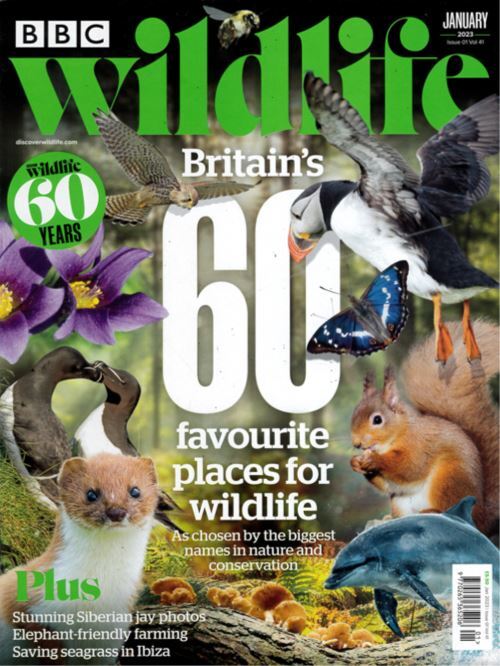 BBC Wildlife - 13 numre